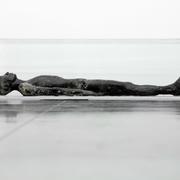 Terence Koh